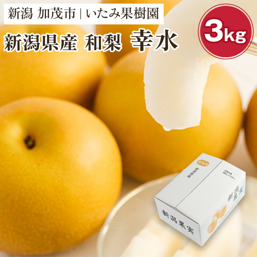 【ふるさと納税】【2026年先行予約】【家庭用】新潟県産 幸水梨 3kg（7～11玉）《8月上旬以降発送》 和梨 なし ナシ 果物 こうすい フルーツ 新潟県産 加茂市 いたみ果樹園