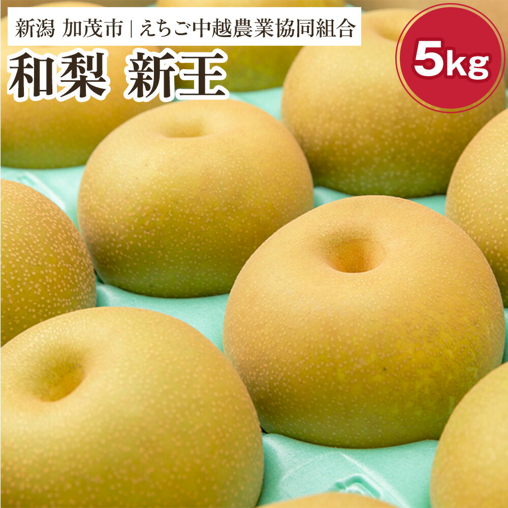 【ふるさと納税】【2026年先行予約】「天果糖逸（てんかとういつ）」 新潟県産和梨 新王 約5kg（8～10玉）《9月下旬～配送予定》 しんおう 果物 フルーツ 冬の味覚 産地直送 加茂市 えちご中越農業協同組合
