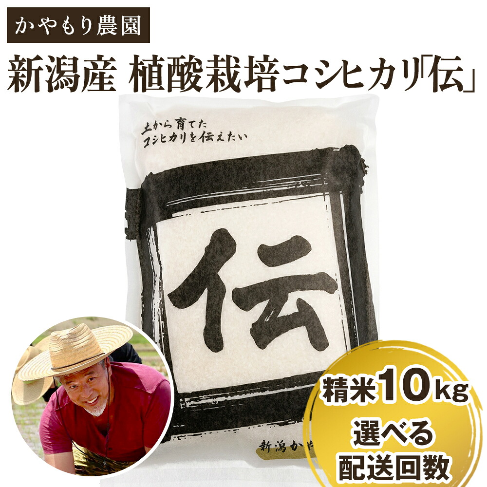 【ふるさと納税】【令和7年産】新潟産コシヒカリ「伝」白米真空パック 精米10kg（5kg×2）選べる配送回数（通常配送1回～定期便12回）《9月下旬～順次出荷》 南麻布の高級料亭で提供される極上米 かやもり農園