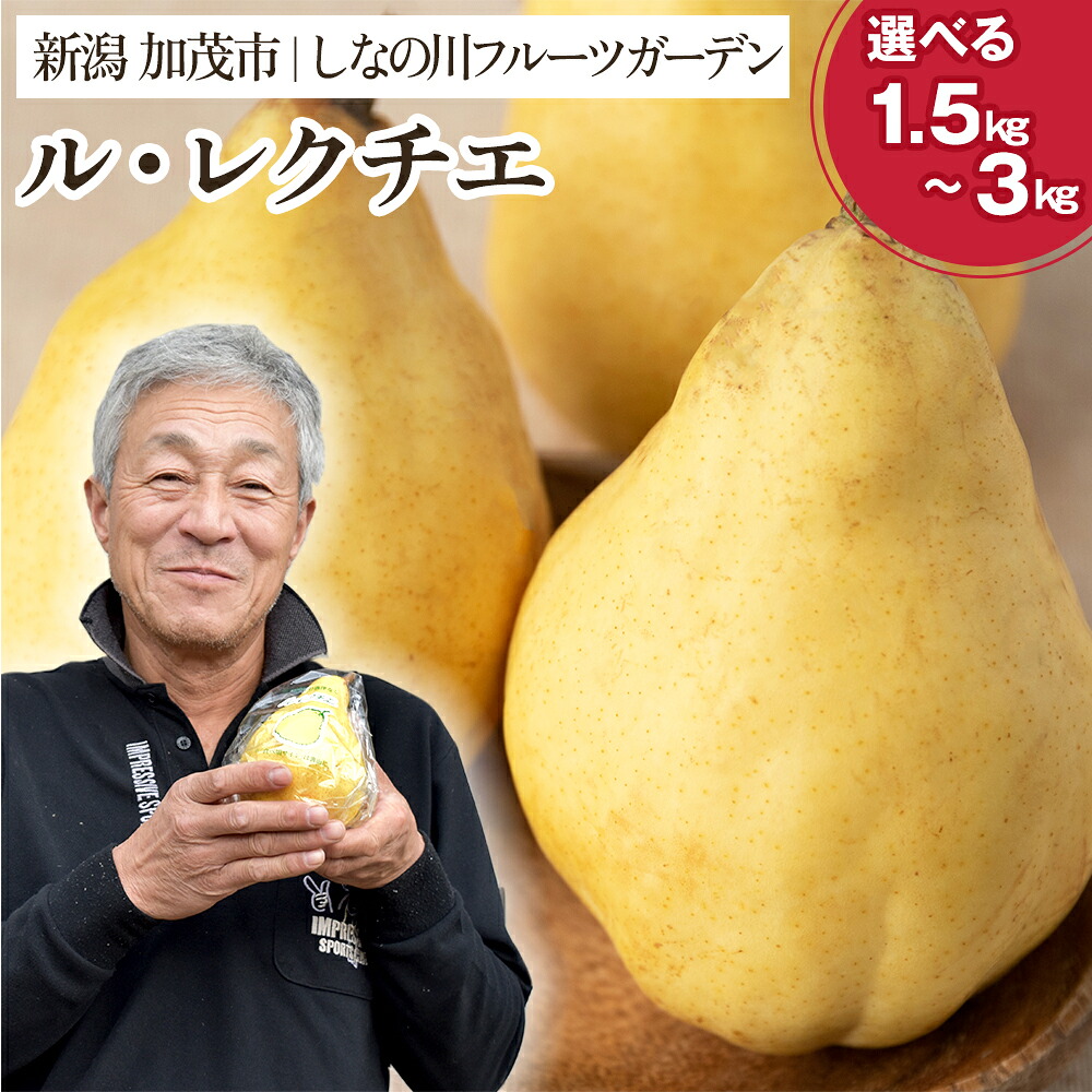 【ふるさと納税】【2026年先行予約】新潟特産 幻の洋梨 ル・レクチェ 【青秀品】 約1.5~3kg 《11月下旬~お届け》 果物 フルーツギフト 冬の味覚 産地直送 加茂市 山伴しなの川フルーツガーデン