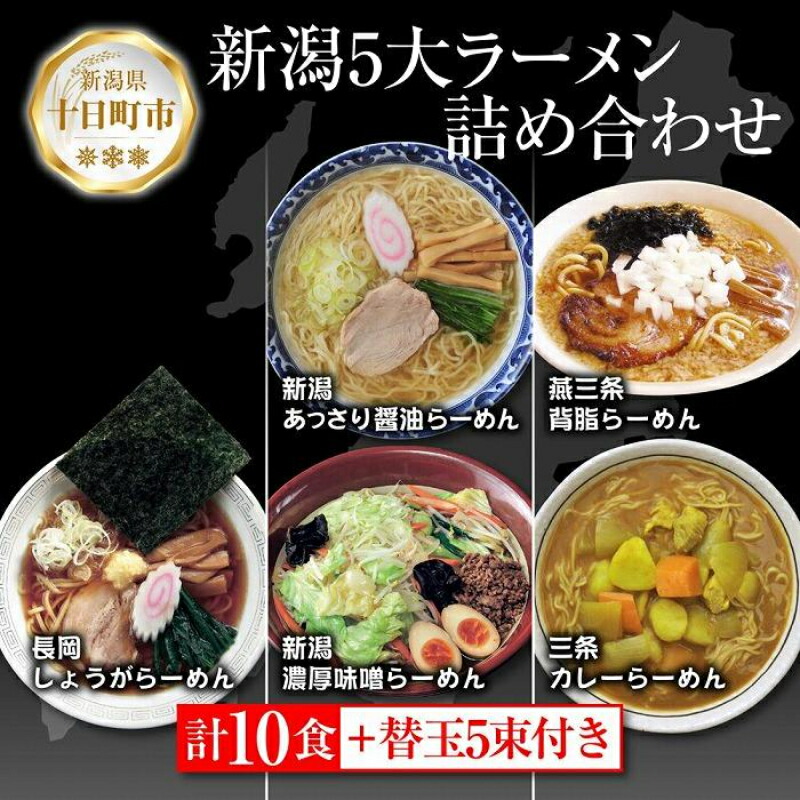 【ふるさと納税】新潟5大ラーメン あっさり醤油 燕三条背脂 長岡しょうが 濃厚味噌 三条カレーらーめん 計10食 替え玉 乾麺 詰め合わせ しょうゆ みそ 備蓄 ご当地 お取り寄せ ギフト 松代そば善屋 新潟県 十日町市 麺類 コシ こだわり 本格的