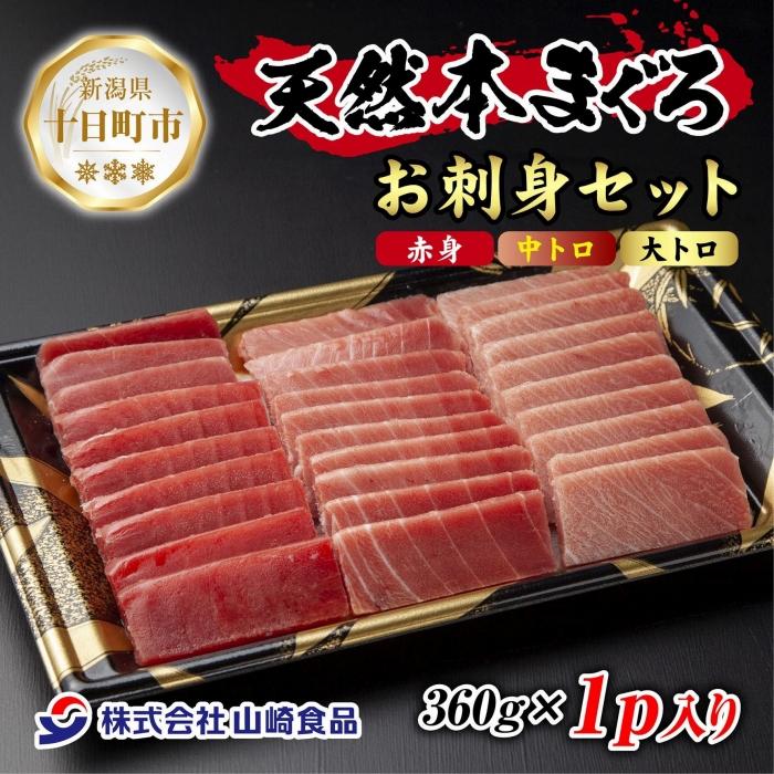 【ふるさと納税】天然 本マグロ 刺身セット 360g 赤身 中トロ 大トロ 三種 盛り合わせ 鮪 クロマグロ 冷凍 まぐろ 刺身 海鮮丼 手巻き寿司 夕食 お取り寄せ グルメ 送料無料 山崎食品 新潟県 十日町市 　お届け：入金確認後、約1週間～2週間ほどでお届け