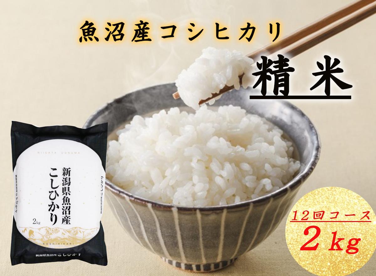 【ふるさと納税】T-09【令和7年産 頒布会】魚沼産コシヒカリ 2kg×全12回 お米 コメ お届け:ご入金確認後の翌月より順次発送|新潟県十日町市