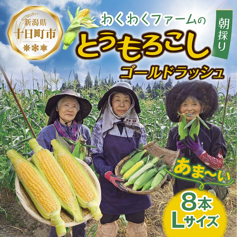 【ふるさと納税】｜先行予約受付｜ 令和7年産 朝採れ とうもろこし ゴールドラッシュ Lサイズ 8本 甘い 国産 トウモロコシ 産地直送 新鮮 フレッシュ コーン 農園 野菜 農作物 わくわくファーム 送料無料 グルメ 　お届け：2025年7月10日以降、順次発送予定