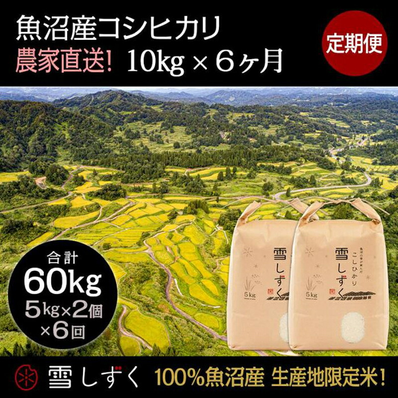 【ふるさと納税】【令和7年産】定期便!魚沼産コシヒカリ【合計60kg】毎月10kg×6回 お米 ブランド米 銘柄米 精米 白米 ご飯 おにぎり お弁当 和食 産地直送 お届け:10月以降より準備でき次第、寄付ご入金確認月の翌月より順次発送いたします|新潟県十日町市