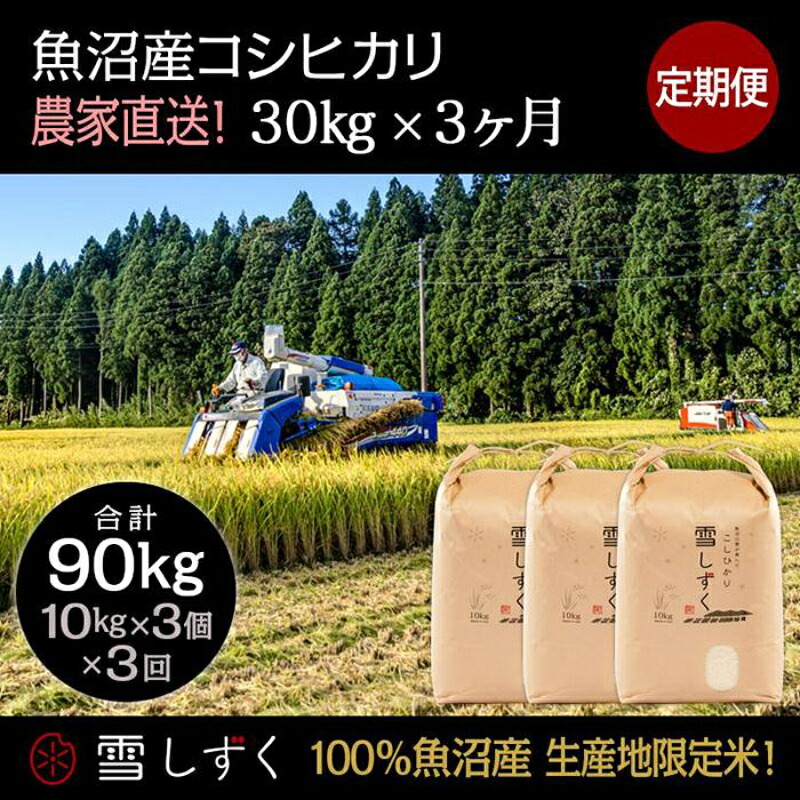 【ふるさと納税】【令和7年産】定期便!魚沼産コシヒカリ【合計90kg】毎月30kg×3回 お米 ブランド米 銘柄米 精米 白米 ご飯 おにぎり お弁当 和食 産地直送 お届け:10月以降より準備でき次第、寄付ご入金確認月の翌月より順次発送いたします|新潟県十日町市