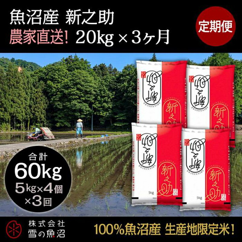 【ふるさと納税】【令和7年産】定期便!魚沼産 新之助【合計60kg】20kg×3回 お米 米 こめ コメ お届け:10月以降より準備でき次第、寄付ご入金確認月の翌月より順次発送いたします|新潟県十日町市