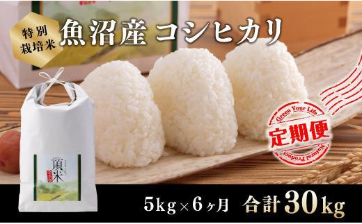 【ふるさと納税】6カ月定期便【特別栽培米】頂米金兵衛 魚沼産コシヒカリ(精米)5kg お米 コメ |新潟県十日町市
