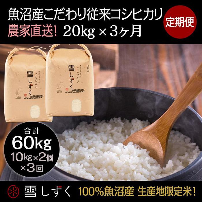 【ふるさと納税】【令和7年産】定期便!魚沼産こだわり従来コシヒカリ【合計60kg】毎月20kg×3回 ブランド米 銘柄米 白米 精米 ご飯 おにぎり お弁当 お届け:10月以降より準備でき次第、寄付ご入金確認月の翌月より順次発送いたします|新潟県十日町市