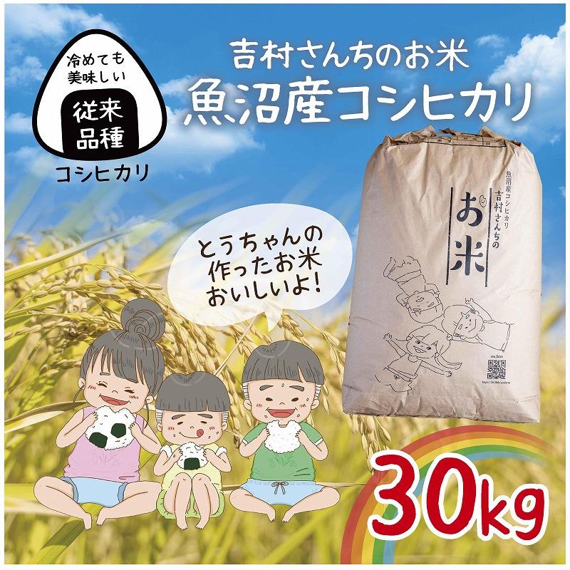 【ふるさと納税】|従来品種| 魚沼産 コシヒカリ 30kg 米 こしひかり お米 コメ 新潟 魚沼 魚沼産 白米 送料無料 新潟県産 精米 産直 農家直送 お取り寄せ 吉村さんちのお米 新潟県 十日町市 モチモチ 安心 安全 お届け:10月以降発送予定|新潟県十日町市