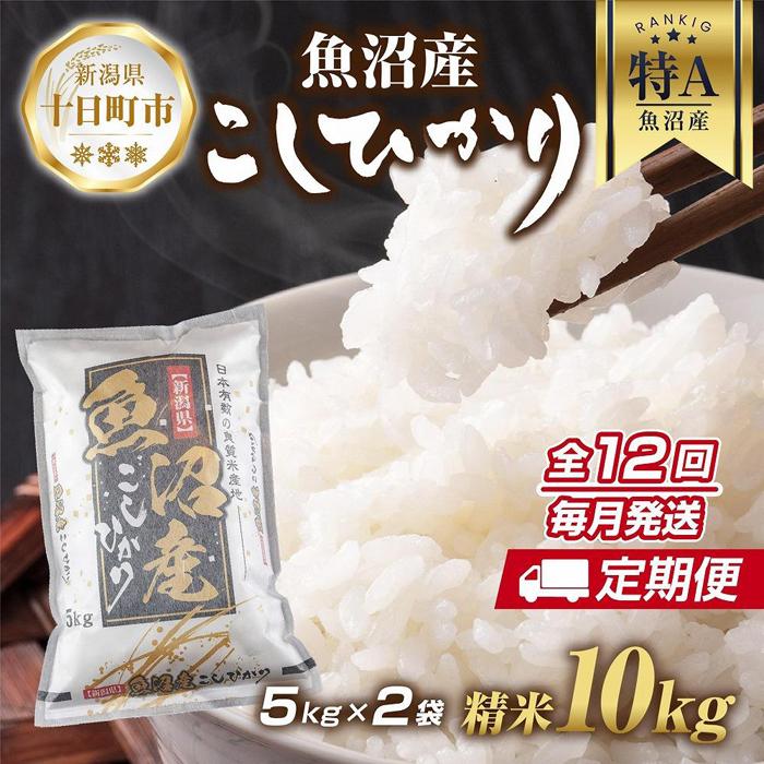 【ふるさと納税】【定期便】新潟県 魚沼産 コシヒカリ お米 10kg×計12回 精米済み 年間 毎月発送 こしひかり (お米の美味しい炊き方ガイド付き) ご飯 ブランド米 銘柄米 |新潟県十日町市