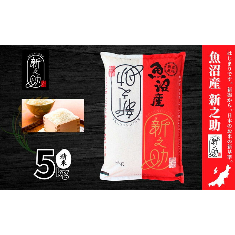 【ふるさと納税】【令和7年産】魚沼産新之助(精米)5kg 米 お米 精米 しんのすけ 中魚沼 新潟県 十日町市 お届け:寄附入金確認後、順次発送|新潟県十日町市