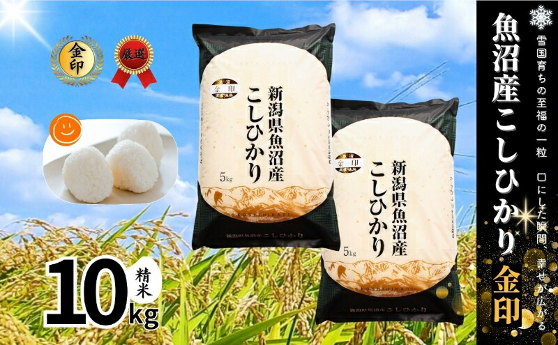 【ふるさと納税】【令和7年産】魚沼産コシヒカリ金印(精米)10kg 米 お米 こしひかり 精米 中魚沼 新潟県 十日町市　お届け：寄附受付確認後、順次発送 24,000円