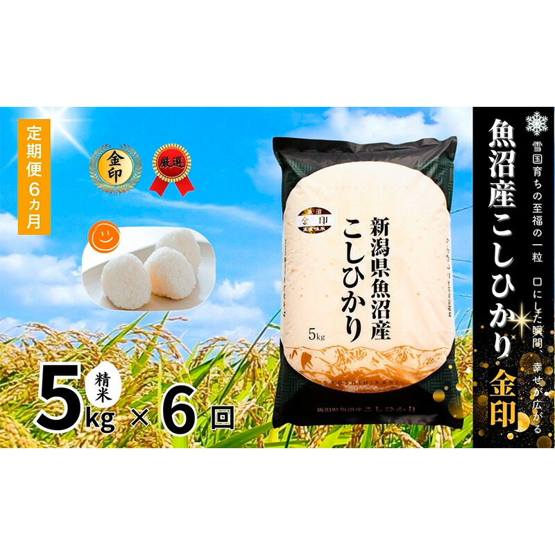 【ふるさと納税】米 定期便 6ヶ月 コシヒカリ 金印 5kg 精米 白米 お米 魚沼産コシヒカリ 新潟米 新潟 十日町市 定期 6回　お届け：寄附入金月の翌月より発送｜新潟県十日町市