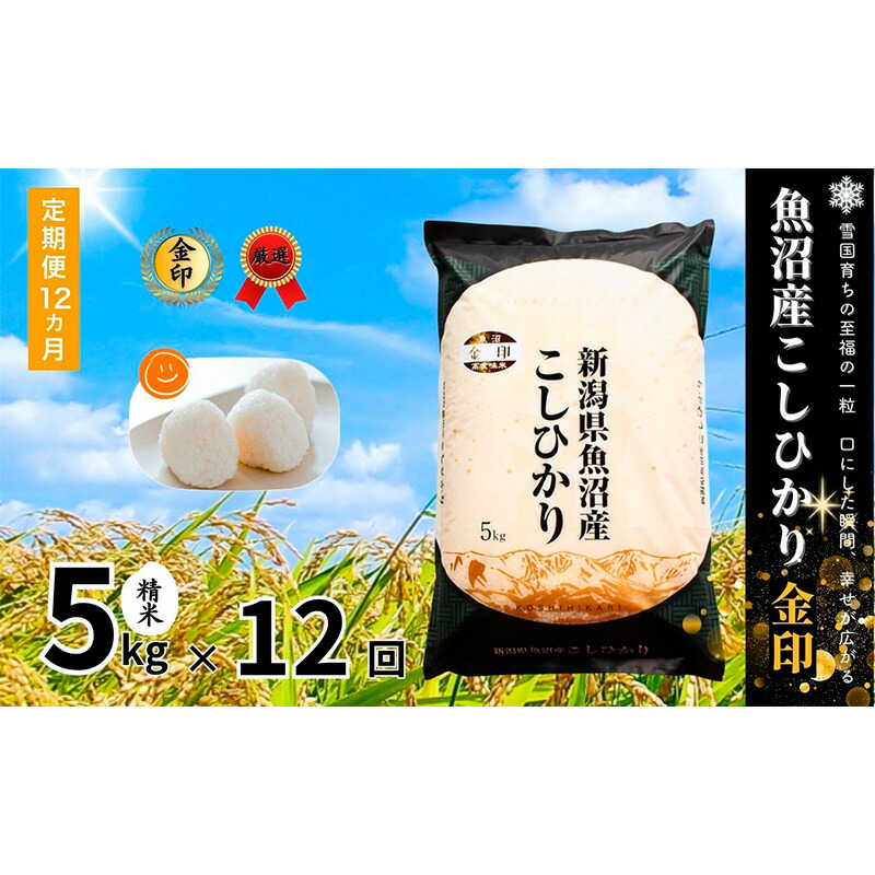 【ふるさと納税】米 定期便 12ヶ月 コシヒカリ 金印 5kg 精米 白米 お米 魚沼産コシヒカリ 新潟米 新潟 十日町市 定期 12回 お届け:寄附入金月の翌月より発送