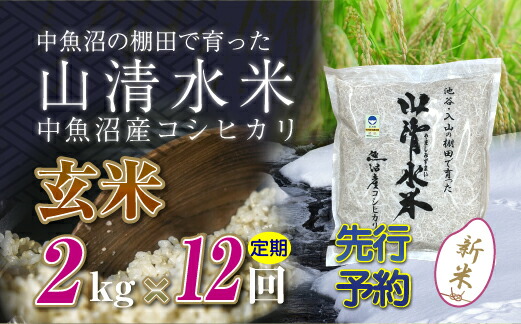 【ふるさと納税】【先行新米予約】【定期便／全12回】玄米2kg　新潟県魚沼産コシヒカリ「山清水米」十日町市 米　お届け：寄附入金確認後、10月上旬から順次発送します。