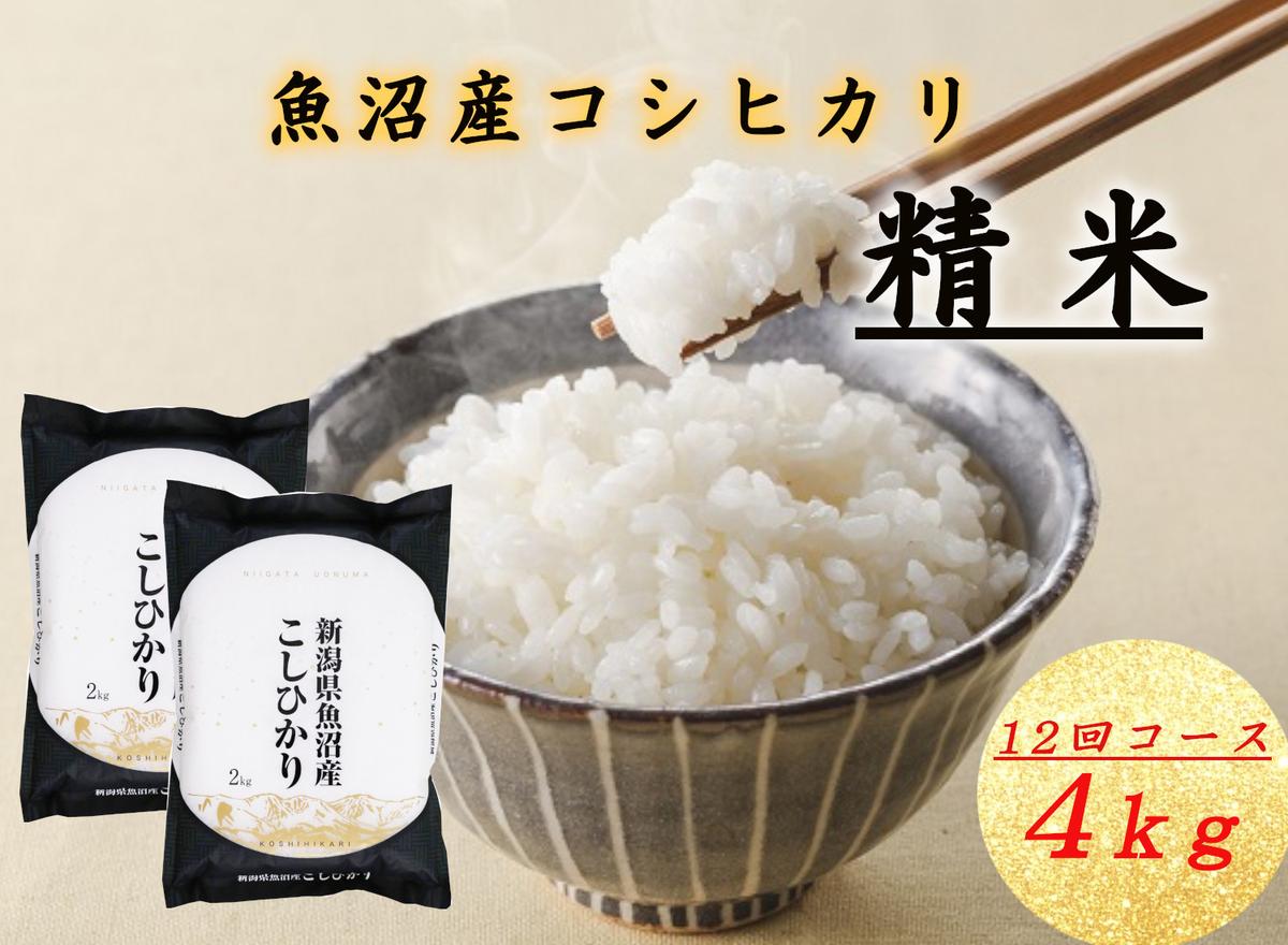 【ふるさと納税】T-15【令和7年産 頒布会】魚沼産コシヒカリ 4kg&times;全12回米 コメ こしひかり 精米 ブランド米 お取り寄せ 十日町市｜新潟県十日町市 125,000円