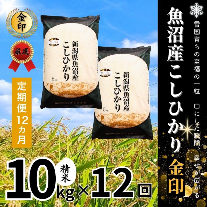 【ふるさと納税】【定期便全12回毎月発送】魚沼産コシヒカリ金印(精米)10kg 米 こしひかり 定期 新潟 十日町市|新潟県十日町市