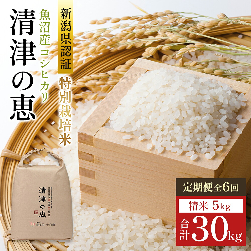 【ふるさと納税】【令和8年産 先行予約】〈定期便〉魚沼産特別栽培米コシヒカリ［清津の恵］精米5kg全6回　お届け：2026年10月上旬から準備ができ次第発送｜新潟県十日町市 62,150円