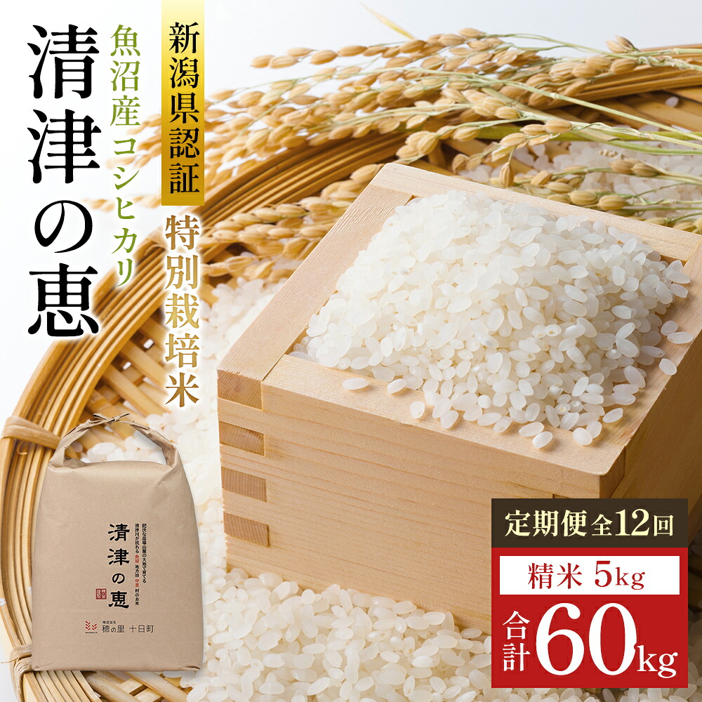 【ふるさと納税】【令和8年産 先行予約】〈定期便〉魚沼産特別栽培米コシヒカリ［清津の恵］精米5kg全12回　お届け：2026年10月上旬から準備ができ次第発送｜新潟県十日町市