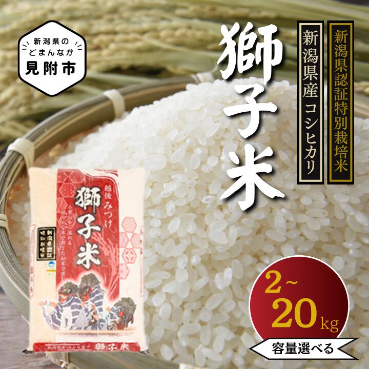 【ふるさと納税】米 新潟県産 こしひかり 2～10kg 　容量選べる 定期便 特別栽培米 コシヒカリ 令和7年産 「獅子米」 お米 精米 ごはん ブランド 品種 送料無料 新潟県認証米 ご飯 安心安全 ブランド 減農薬 お米 おこめ 新潟産 新潟 定期 3回 3か月