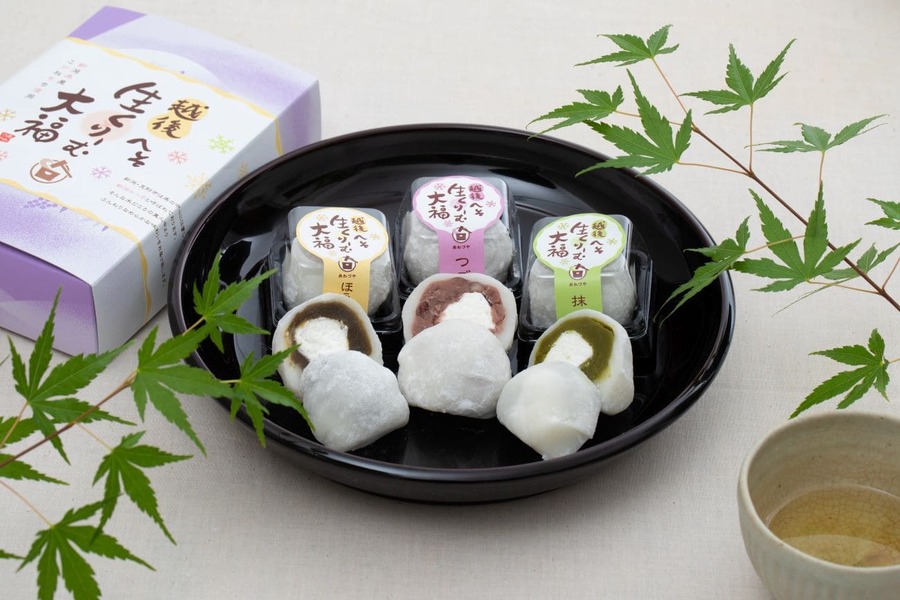 【ふるさと納税】 生クリーム大福３種12個セット（つぶあん6個・抹茶3個・ほうじ茶3個）