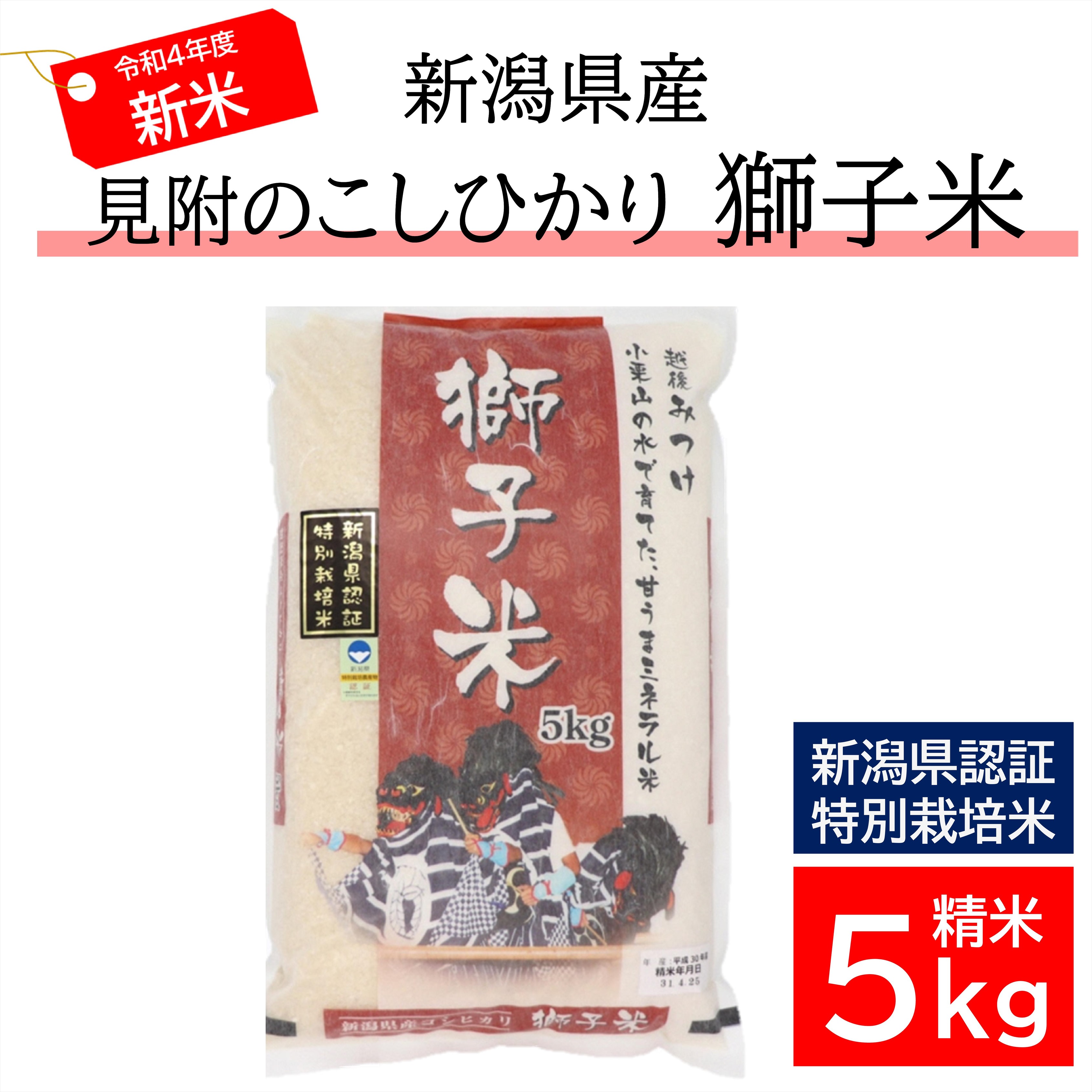 マラソン限定！ポイント5倍 遥たん専用 精米済み 20キロ 新潟県産こし