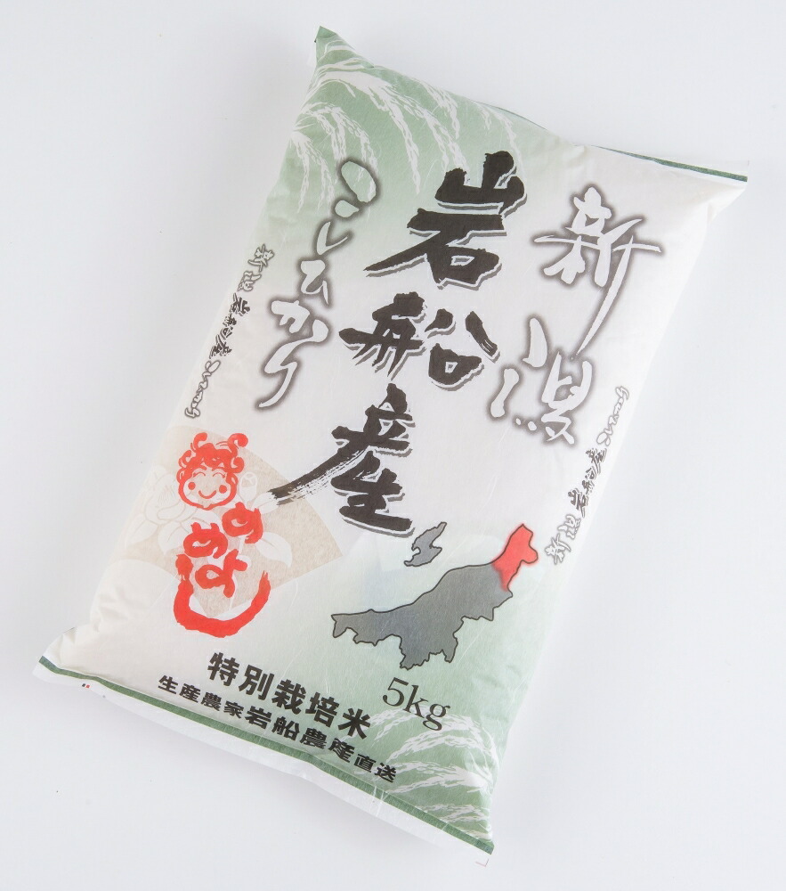 【ふるさと納税】【令和7年産米】特別栽培米 新潟県村上市岩船産コシヒカリ5kg お米 精米 白米 ごはん ご飯 新潟県産 新潟産 お取り寄せ 新潟県 村上市 送料無料 1013005