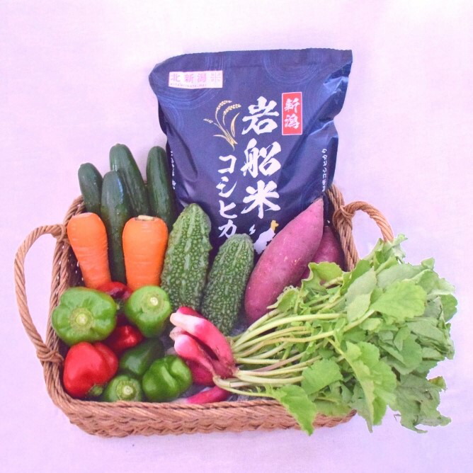 【ふるさと納税】【令和6年産米】新潟県岩船米コシヒカリ2kgと季節の野菜セット1 お米 白米 ご飯 ごはん 調味料 産地直送 村上市 A4031