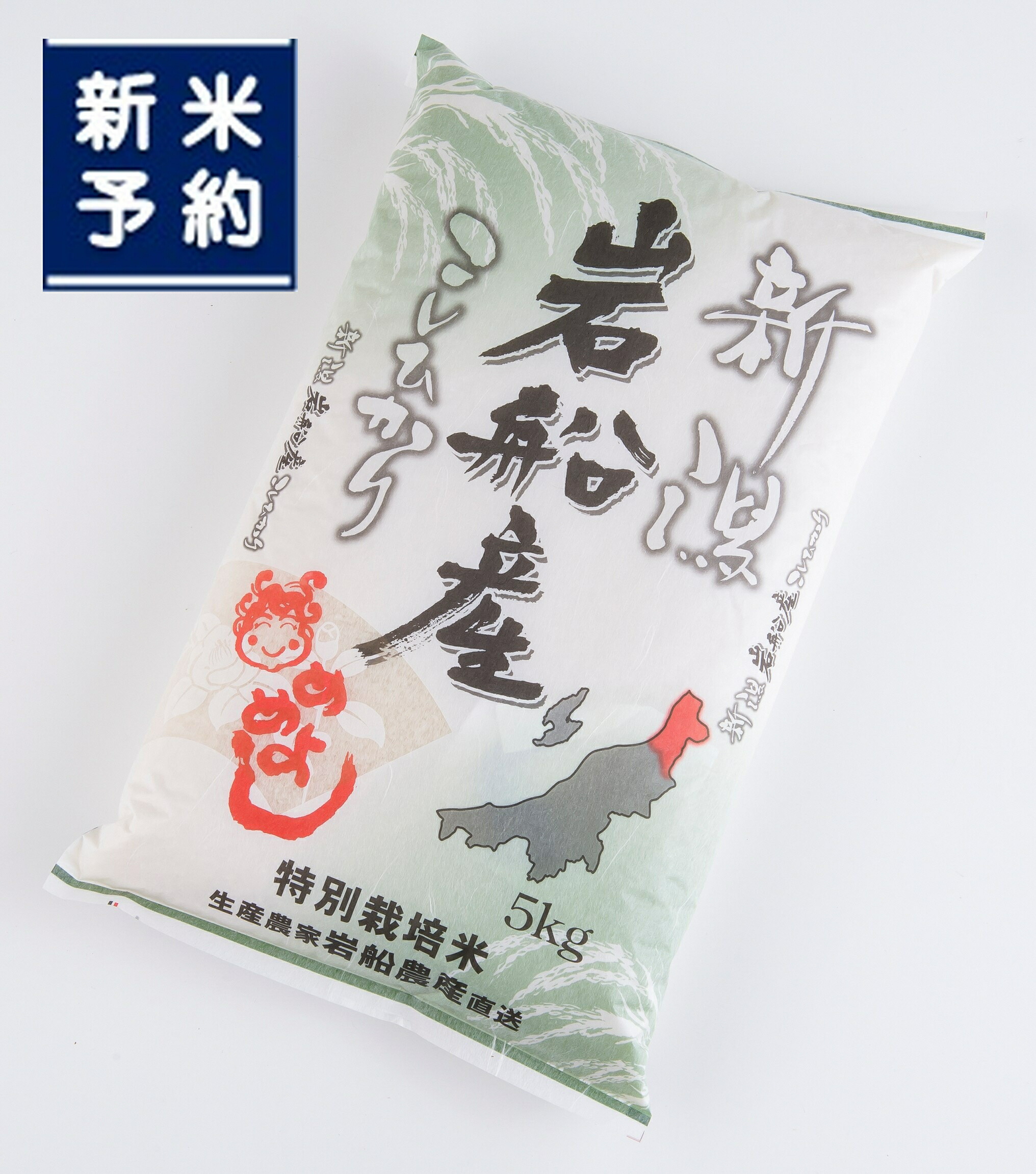 【ふるさと納税】【新米受付・令和7年産米】特別栽培米  岩船産コシヒカリ5kg　お米 精米 白米 ごはん ご飯 新潟県産 新潟産 お取り寄せ 新潟県 村上市 定期 送料無料 1013005N