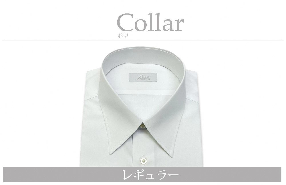 【ふるさと納税】【選べる大きさS~8L】【国内仕立てもの】購入注文プルオーバー工業プラントで作る綿100％メンズ用御召しものプルオーバー 衿型レギュラー  御召しものプルオーバー Yシャツ Yプルオーバー 差し上げ物 差し上げ物 差し上げ物 商行為 御勤め 今めかしい ひな形  日本仕立てもの  新潟県 村上市 貨物輸送無料 1080003