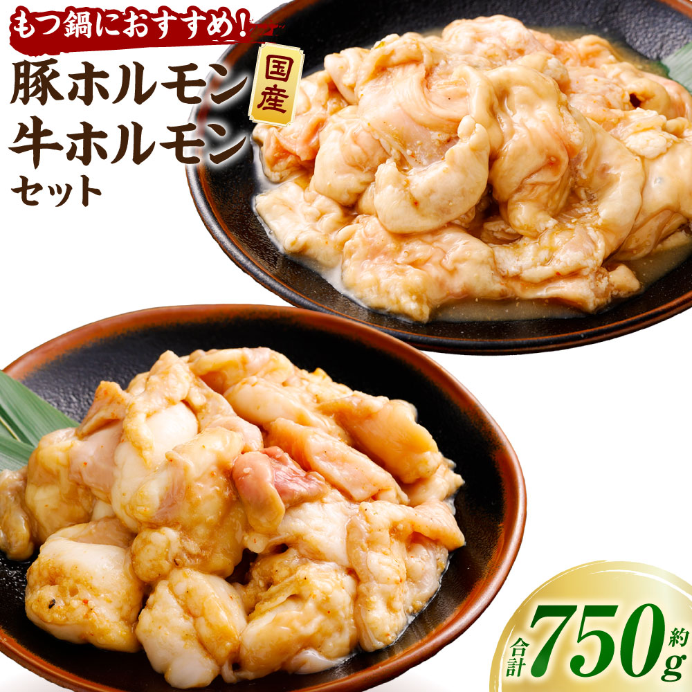 【ふるさと納税】【数量限定】 もつ鍋におすすめ! 国産豚ホルモン(直腸)と国産牛ホルモンセット 750g 5~6人前 1082001|新潟県村上市