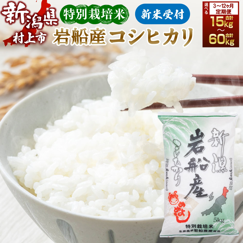 【ふるさと納税】【新米受付・令和8年産米】【定期便】【お届け回数が選べる】 特別栽培米 新潟県 村上市 岩船米 コシヒカリ 5kg &times;3ヶ月・6ヶ月・12ヶ月 お米 精米 白米 ご飯 ごはん 毎月 村上市 1013011N 1013012N 1013013N｜新潟県村上市
