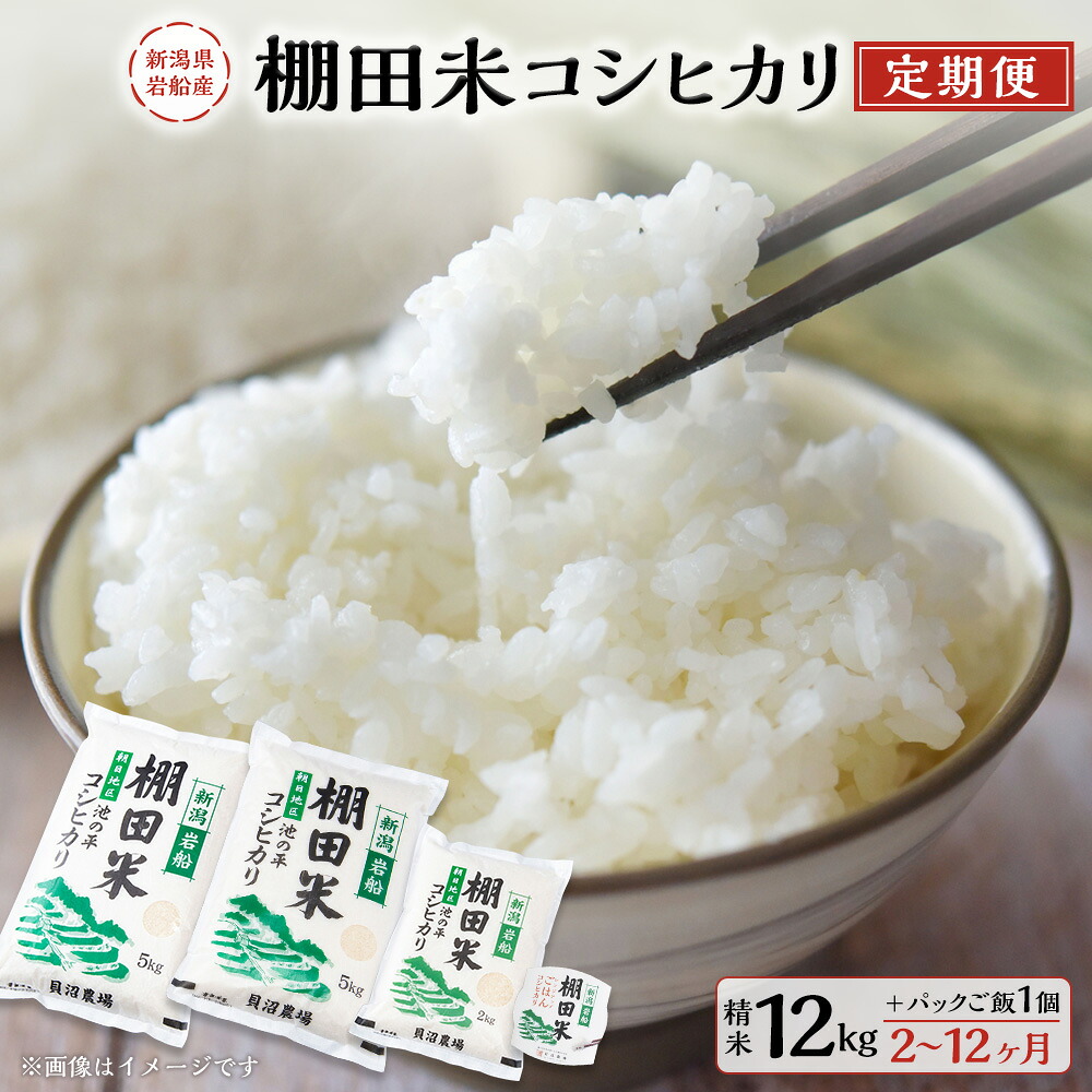【ふるさと納税】【令和7年産米】【定期便】【お届け回数が選べる】新潟県岩船産 棚田米コシヒカリ 1回あたり 12kg +パックごはん (150g×1個) 2～12回 | 毎月 お米 白米 ご飯 こしひかり 精米 村上市 1067117