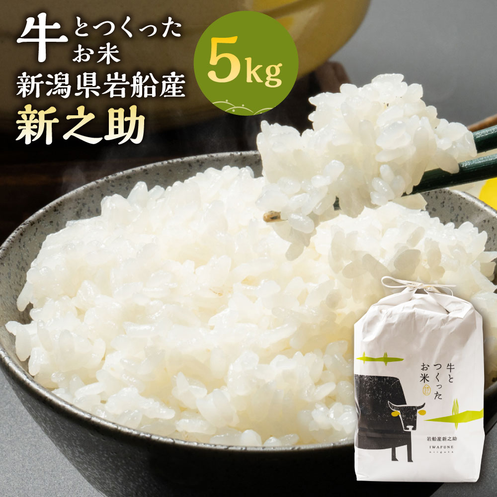 【ふるさと納税】【令和7年産米】牛とつくったお米 新潟県村上市岩船産新之助 精米 5kg しんのすけ お米 精米 白米 ご飯 ごはん 村上市 新潟県 1041002|新潟県村上市