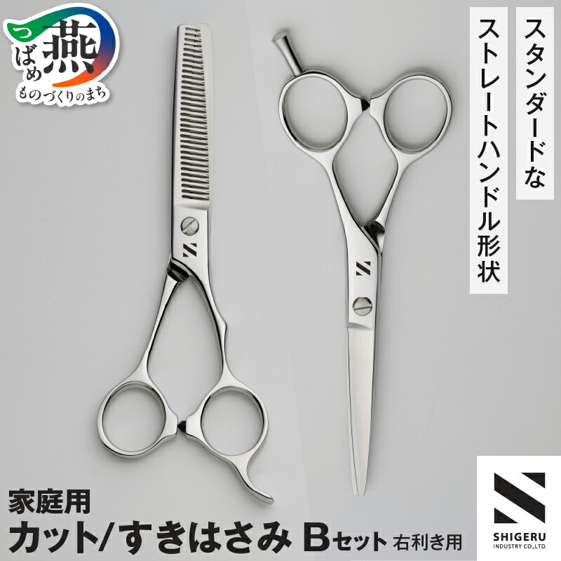 【ふるさと納税】 髪はさみ カット鋏 & 梳き鋏セット「B」【 すきハサミ 2丁 右利き用 家庭用 散髪 髪の毛 はさみ ヘアカット セルフカット ステンレス ギフト プレゼント 贈り物 シゲル工業 新潟県 燕市 燕三条 】 [f30130]