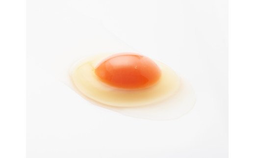 【ふるさと納税】抜群に美味しい!!濃厚たまご!!アスタ卵【 卵 ふるさと納税 国産 たまご タマゴ たまご アスタキサンチン含有赤卵 お取り寄せ 新潟 燕三条 燕市 送料無料 】