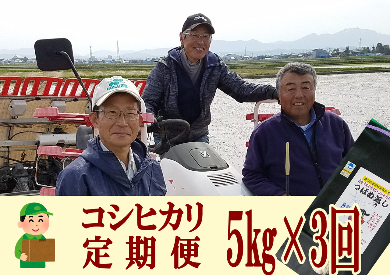 安値 おかずのいらないコシヒカリ つばめ返し5kg 3か月定期便 月イチで