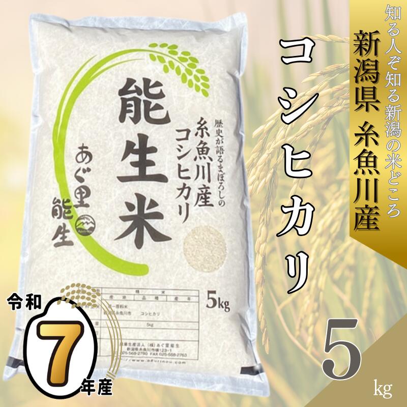 【ふるさと納税】 令和7年産『新潟県産コシヒカリ』 5kg『能生米』 新潟米 農家自慢 糸魚川 プロが認めたうまい米 あぐ里能生 ふっくらもちもち 農家直送 白米 米5kg 精米 おにぎり お弁当 こしひかり 5kg 米どころ新潟 美味しい米 2025年 米 コメ｜新潟県糸魚川市