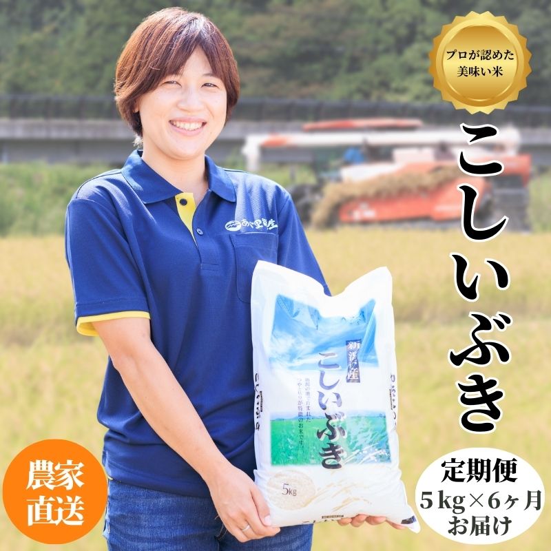 楽天市場】【ふるさと納税】【新米】新潟県産 特別栽培米コシヒカリ5kg