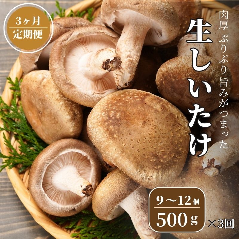 楽天市場】【ふるさと納税】【定期便】 生しいたけ 1kg(肉厚椎茸18～24