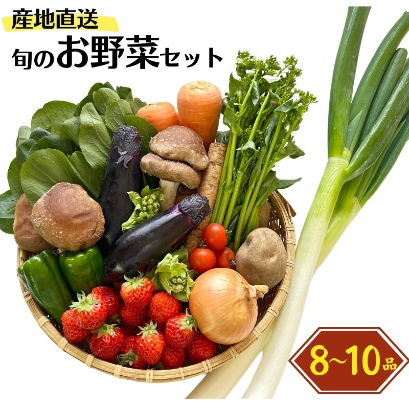【ふるさと納税】旬の野菜セットを直売所からお届け! (8～10品詰め合わせ) 大根･白菜･春菊･アスパラ菜･しいたけ･ほうれん草･ふきのとう･タラの芽･山菜･にんじん･イチゴ･トマト･きゅうり･ピーマン･ジャガイモ･玉ねぎ･枝豆･生きくらげ･長ネギ･里芋 JA