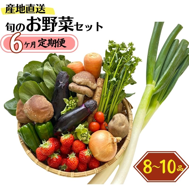 【ふるさと納税】定期便【6回お届け】旬の野菜セットを直売所からお届け ! (8～10品詰め合わせ) 大根･白菜･春菊･アスパラ菜･しいたけ･ほうれん草･ふきのとう･タラの芽･山菜･にんじん･イチゴ･トマト･きゅうり･ピーマン･ジャガイモ･玉ねぎ･長ネギ･里芋 JA