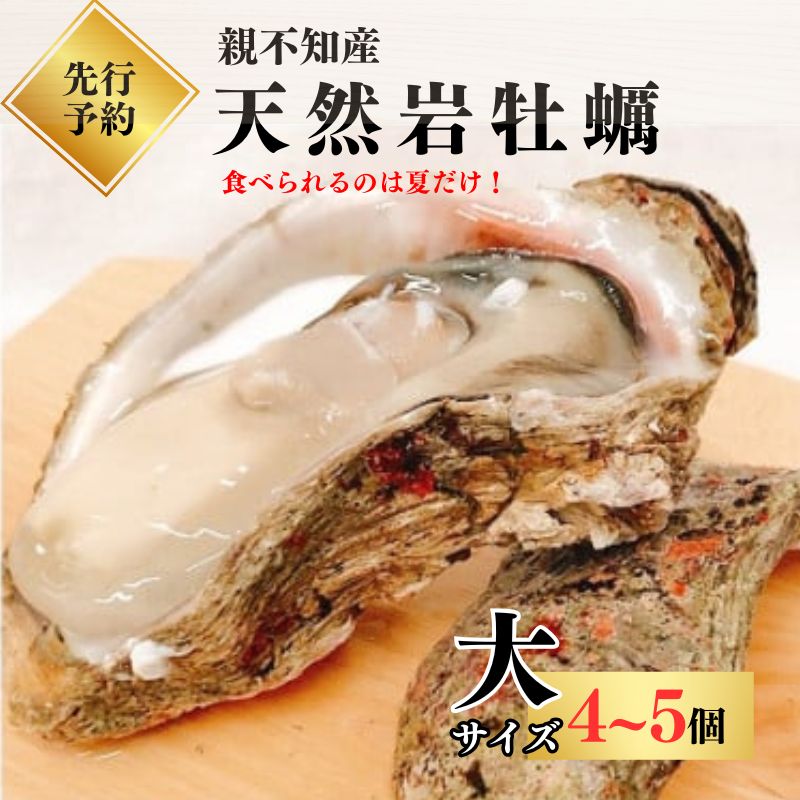 【ふるさと納税】【先行予約】親不知産 天然岩牡蠣(生食用) 大サイズ４～５個 2025年7月20日以降順次発送 鮮度抜群！ 水揚げ直後に発送 日本海 かき カキ 岩ガキ 水揚げ直後に発送 親不知産 糸魚川 親不知おさかなセンター 牡蠣 新潟県  期間限定 産地直送  生牡蠣 国産