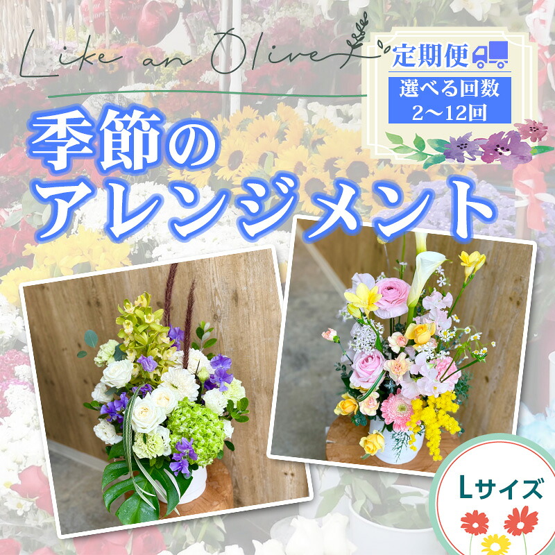 【ふるさと納税】【定期便】季節のアレンジメント【L】　（毎月定期便）　【選べる回数：2～12カ月】　【フラワーアレンジメント アレンジメント 季節の花 生花 花 植物 ブーケ ギフト プレゼント インテリア お楽しみ 】｜新潟県糸魚川市 44,200円