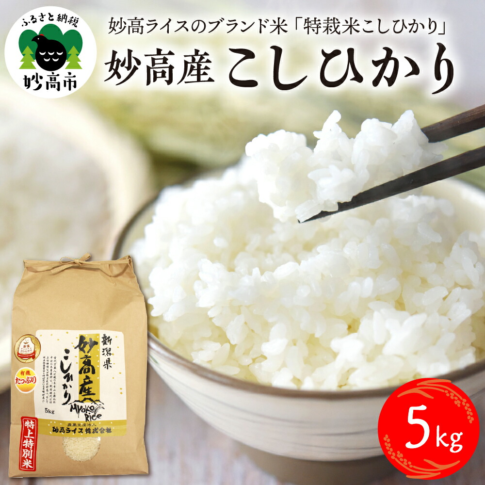 ふるさと納税 新潟県 妙高市 新潟県矢代産コシヒカリ20kg(5kg×4