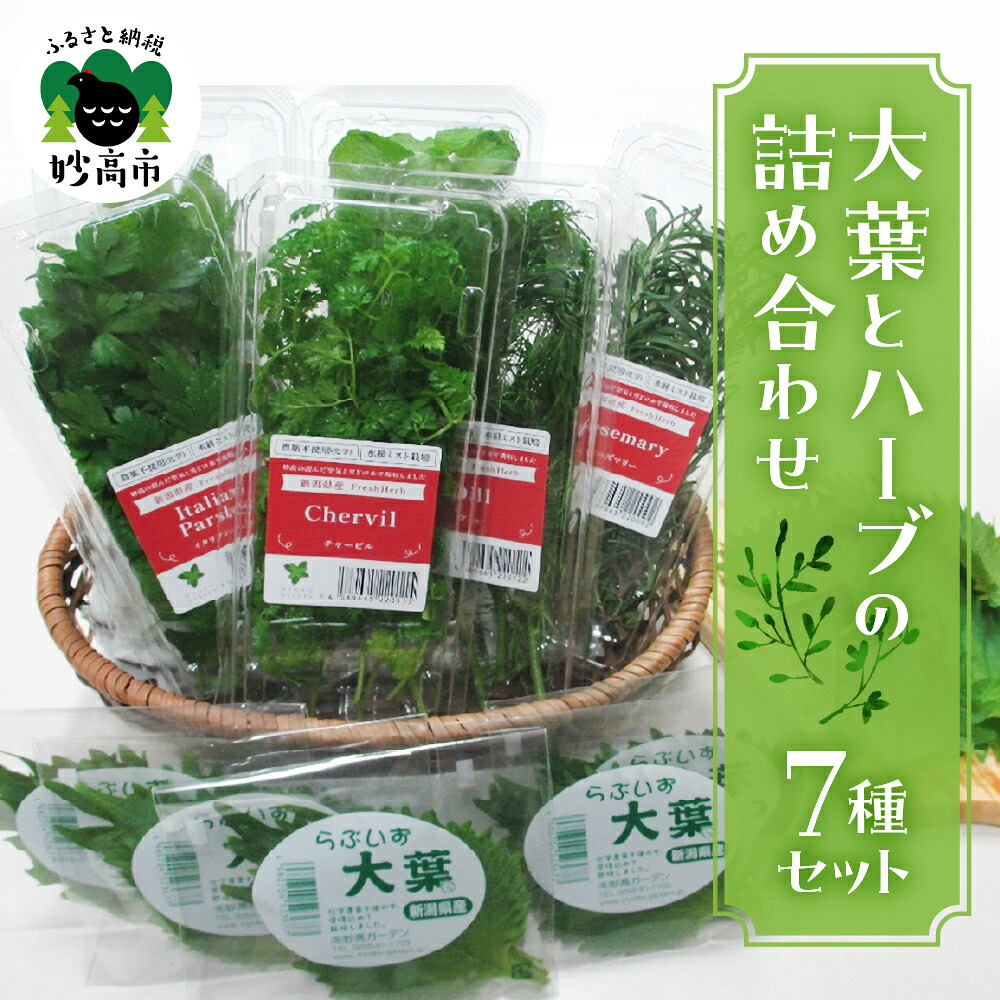 【ふるさと納税】大葉 と ハーブ の 詰め合わせ セット 大葉 セルバチカ イタリアンパセリ ローズマリー スペアミント ディル チャービル パスタ サラダ スパイシー スープ 魚料理 ケーキ デザート 化学農薬不使用 送料無料 新潟県 妙高市