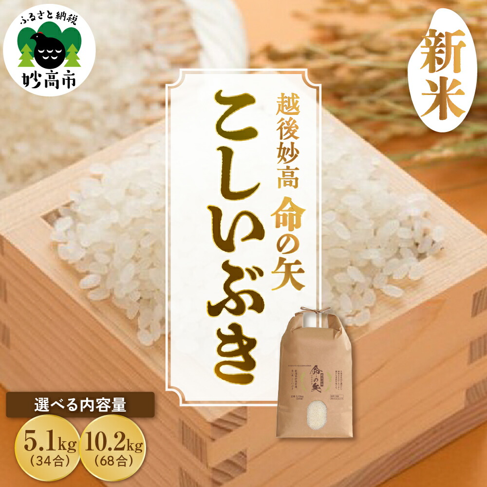 楽天市場】【ふるさと納税】令和6年産 米 新雪米 (あらゆきまい
