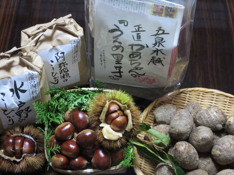 ★【ふるさと納税】 ブレンドしない地域限定米と村松名人栗の旬のおいしさセット 新潟県 五泉市 越後の國村松かあちゃん本舗