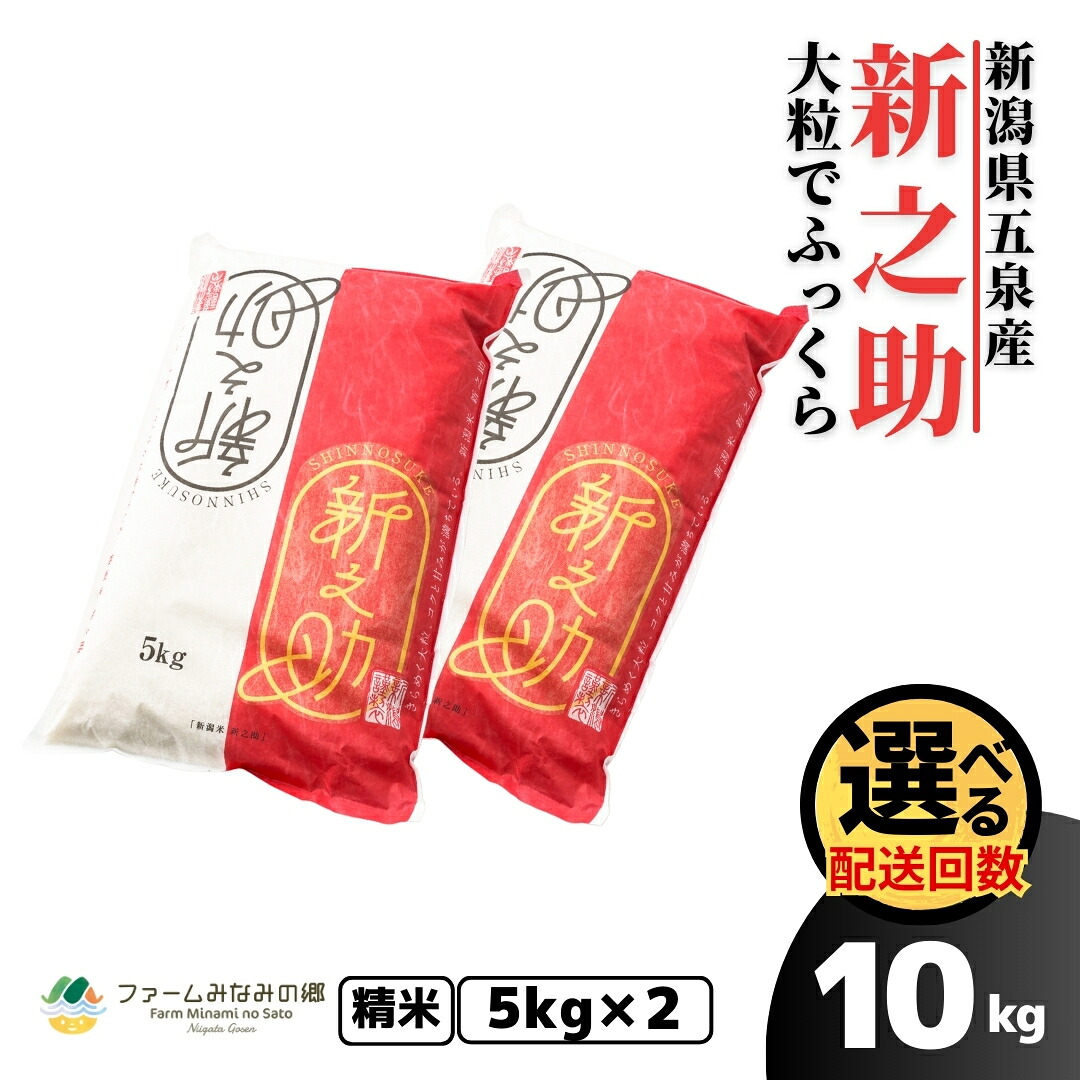 新之助 5kg ✕2袋米 新之助米 5kg 2袋セットの通販はau PAY マーケット